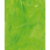 Plumes Ébouriffées Vert Sachet de 3 g Lg 8 à 12 cm