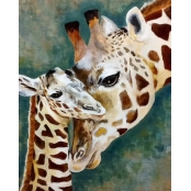 Peinture au numéro Girafes 30 x 40 cm