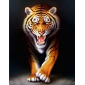 Peinture au numéro Tigre 40 x 50 cm