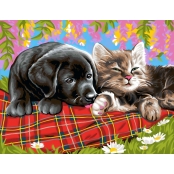 Tableau peinture au numéro Comme chien et chat