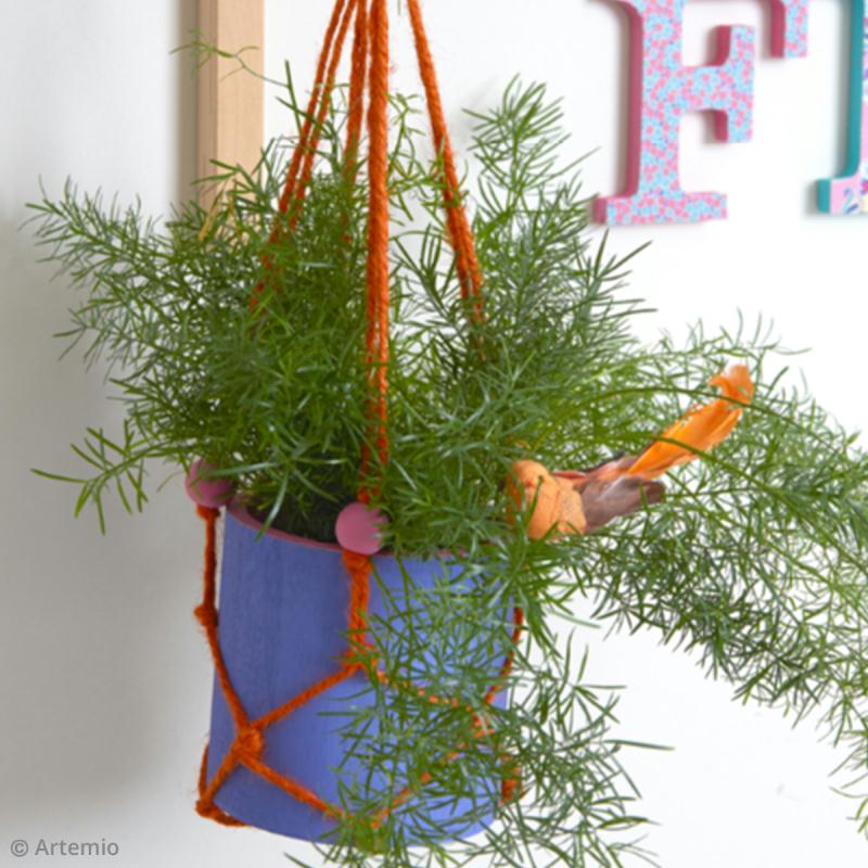 Cordes Suspension pour Plante