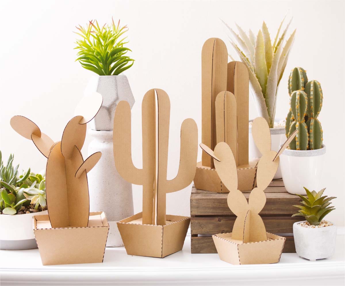 Tendances DIY 2019 Cactus