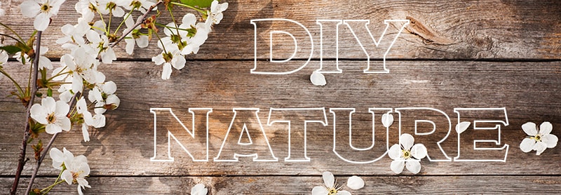 Tendances DIY 2019 Nature