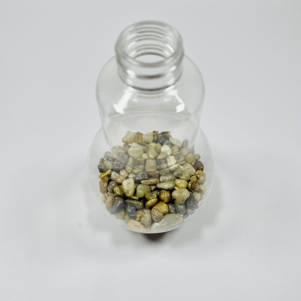 ampoule version  terrarium