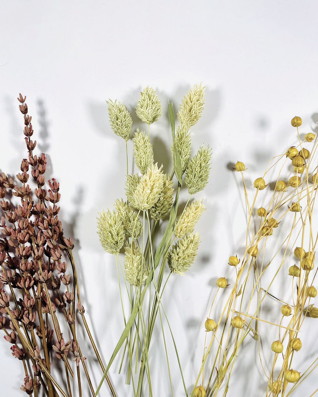 Bouquet de fleurs séchées en vente sur la boutique de loisirs créatifs megacrea.com