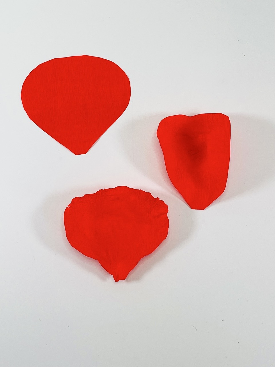 Pétales de coquelicot pour créer un bouquet immortel