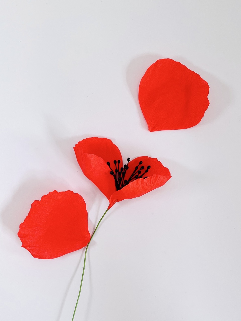 Création d’un coquelicot en papier.