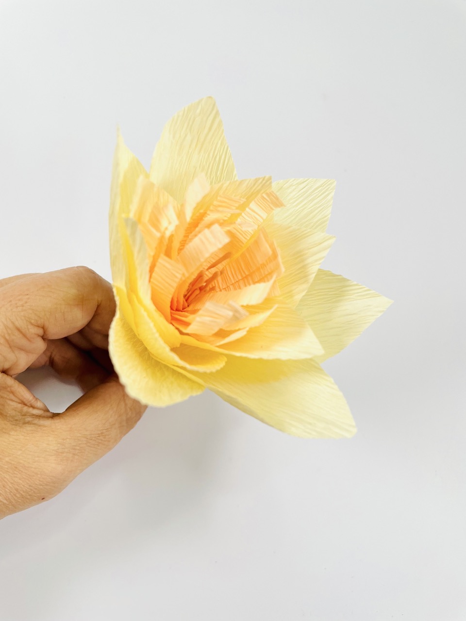 Fleurs en papier crépon