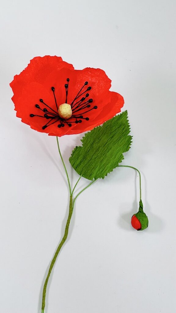 Coquelicot 9:16 story - Grande Créer des fleurs réalistes en papier crépon.