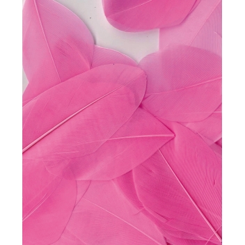 13030030 - 5414135150885 - Artémio - Plumes Lissées Rose clair 3 g Lg 6 cm env.