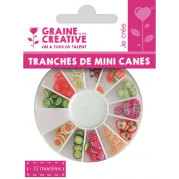 269010 - 3471052690100 - Graine créative - Tranches de canes MINI MINI Fruit exotique - 2