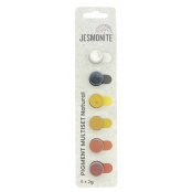 Jesmonite Pigments Barrette 6x2g Naturel