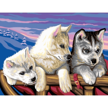 PL41898 - 3700010418983 - KSG - Tableau peinture au numéro Dans le Grand Nord