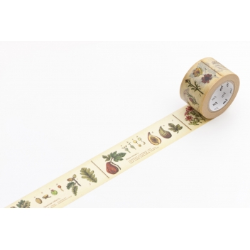 MTEX1P34RZ - 4971910284643 - Masking Tape (MT) - Masking Tape MT EX encyclopedia - plant