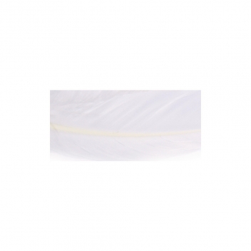 85461102 - 4006166405020 - Rayher - Plume d\'oie longue Blanc 16/20 cm 8 pièces - 2
