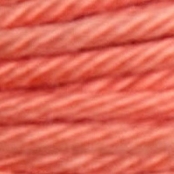 Fil Retors DMC Col. 2161 Canevas et tapisserie