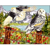 Canevas antique Au pays des chouettes 50x65cm