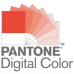 Pantone