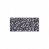 Perle Miyuki Delica 10/0 Rainbow transp. dépoli Bleu clair