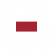 Peinture pour l\'extérieur Patio Paint Rouge cerise 59 ml