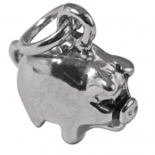Pendentif en métal Porte-bonheur Argenté 11mm