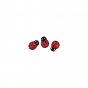 Coccinelle en bois 1 cm 24 pièces
