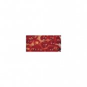 Perle rocaille Garniture argenté 2 mm Orange 17 g