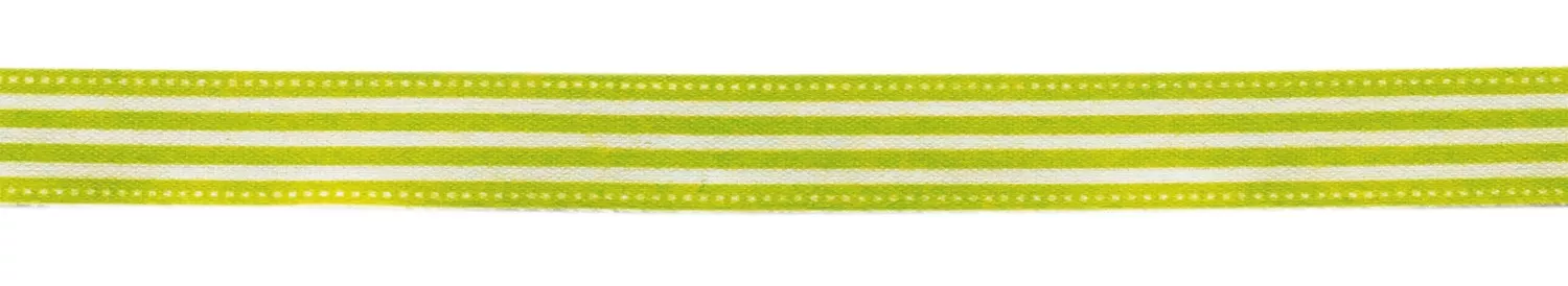 Ruban en coton rayure vert...