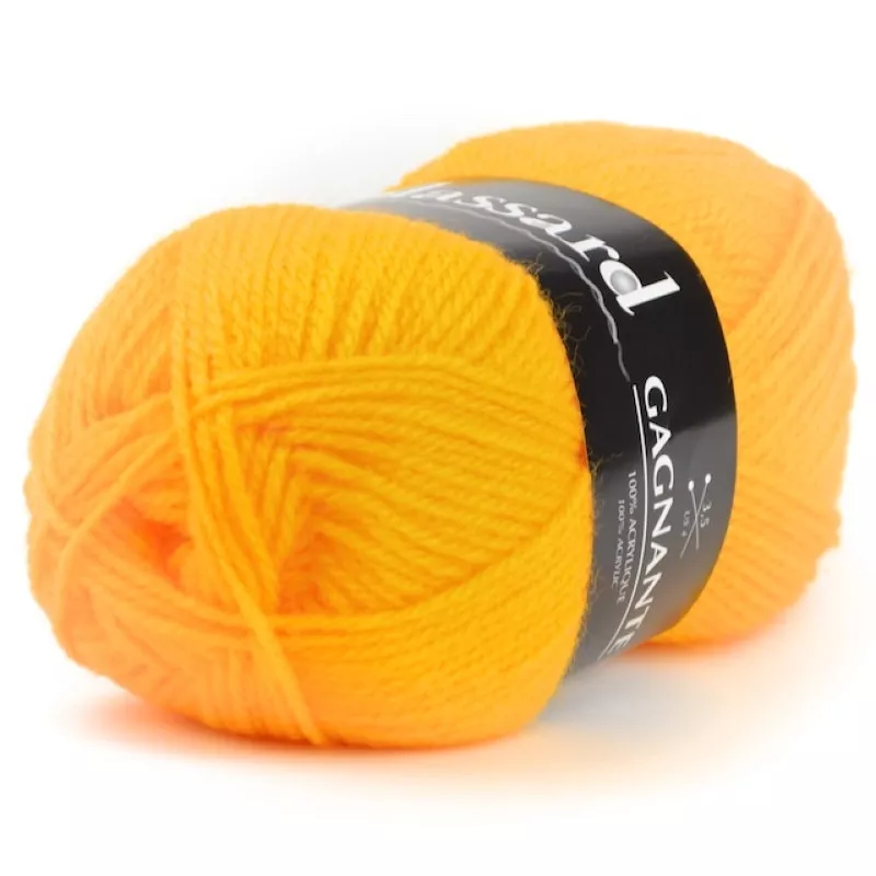 Laine Plassard Gagnante 921...