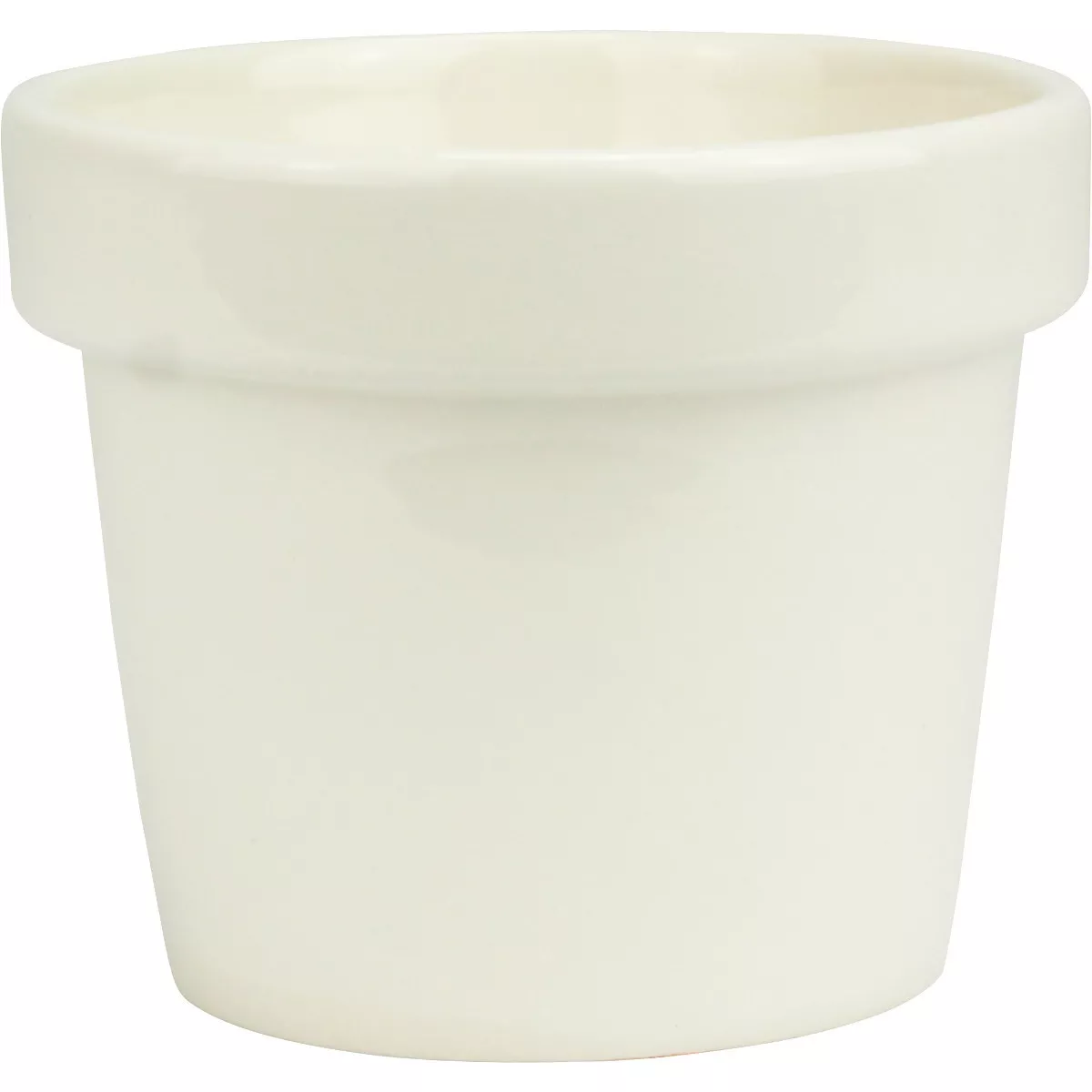 Petit pot de fleur en...