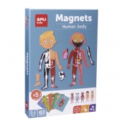 Magnets Apprendre le Corps Humain Enfant