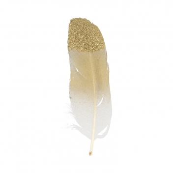 13030111 - 5414135158034 - Artémio - Plume lisse paillette doré 6 pièces
