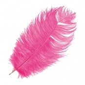 Plume d'autruche 30-35cm Rose fuchsia