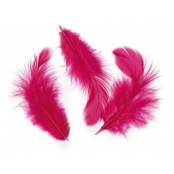 Plumes Ébouriffées Rose fuchsia 10g (grand paquet)