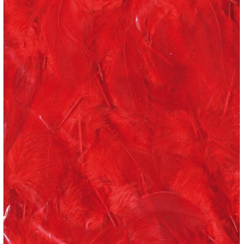 13030048 - 5414135156085 - Artémio - Plumes Ébouriffées Rouge 10g (grand paquet)