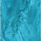 Plumes Ébouriffées Bleu turquoise 10g (grand paquet)