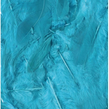 13030047 - 5414135156078 - Artémio - Plumes Ébouriffées Bleu turquoise 10g (grand paquet)