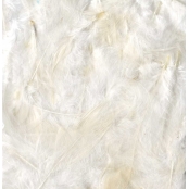 Plumes Ébouriffées Blanc 10g (grand paquet)