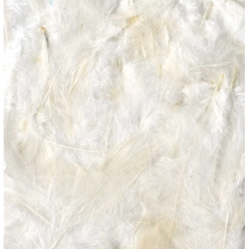 13030045 - 5414135156054 - Artémio - Plumes Ébouriffées Blanc 10g (grand paquet)