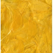 Plumes Ébouriffées Jaune 10g (grand paquet)