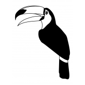 Tampon en bois Toucan 60x45mm