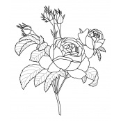 Tampon en bois Secret Garden Roses 5 x 6 cm