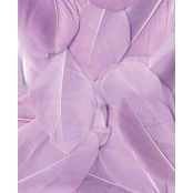 Plumes Lissées Mauve clair 3 g Lg 6 cm env.