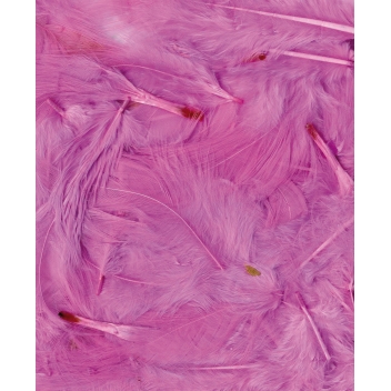 13030021 - 5414135150793 - Artémio - Plumes Ébouriffées Rose clair 3 g Lg 8 à 12 cm