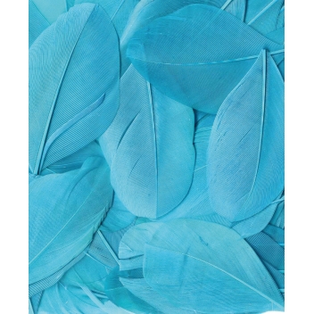 13030026 - 5414135150847 - Artémio - Plumes Lissées Turquoise 3 g Lg 6 cm env.