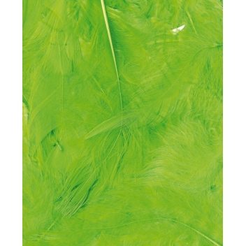 13030014 - 5414135150724 - Artémio - Plumes Ébouriffées Vert Sachet de 3 g Lg 8 à 12 cm