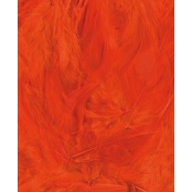 Plumes Ébouriffées Orange 3 g Lg 8 à 12 cm