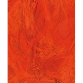13030016 - 5414135150748 - Artémio - Plumes Ébouriffées Orange 3 g Lg 8 à 12 cm