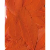 Plumes Lissées Orange 3 g Lg 6 cm env.