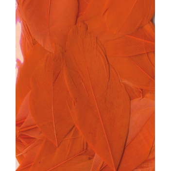 13030027 - 5414135150854 - Artémio - Plumes Lissées Orange 3 g Lg 6 cm env.